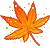 maple leaf