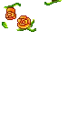 yellow roses