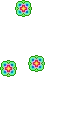 falling flowers
