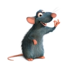 ratatouille