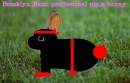 ninja bunny
