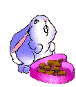 bunny