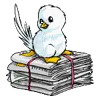bird