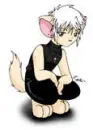 sardon cat