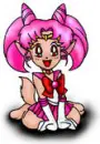 zoey cat