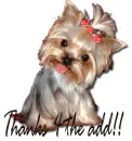 thanks 4 the add