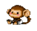 monkey