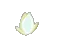 white lily
