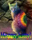 happy kitty