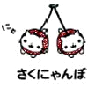 Cherry cat