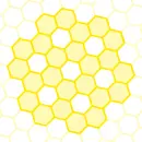 Bee Hive