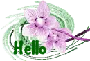 hello