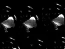 Black Swirl White Rose 