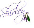 Shirley