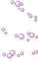 purple bubbles