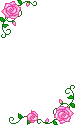 pink roses