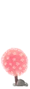 pink little flowers
