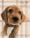 LOVE ME
