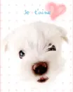 LOVE YOU