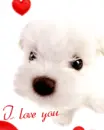 I LOVE YOU