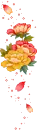 roses