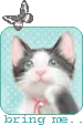 BRING ME KITTY