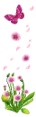 pink flowers