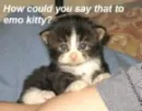 emo kitty