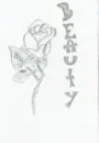 it is a rose