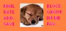 PUPPY 