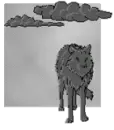 wolf in a storm