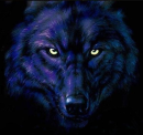 dark wolf