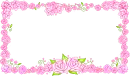pink roses