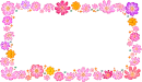 lovely flowers
