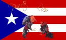  cock fight puerto rican flag