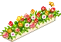 little flowers
