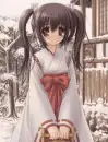 Winter Chores