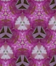 Backgrounds
