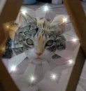 Distorted