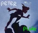 peter punk