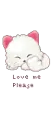 white kitty
