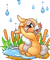 bunny in the rain