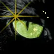 Cat Eye with Glitter