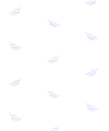 white feathers