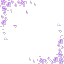 rainbow  flowers