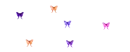 butterflys