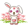 cute bunny