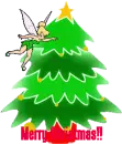 Christmas Tree and Tinkerbell