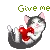 kitty
