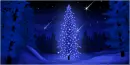 Holly Night